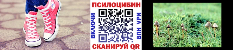 цены наркотик OMG ТОР Галлюциногенные грибы прущие грибы Абаза